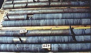 Whole Core Samples