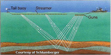 Marine Seismic