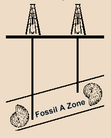 Correlation With Microfossils - Fossil A Zone